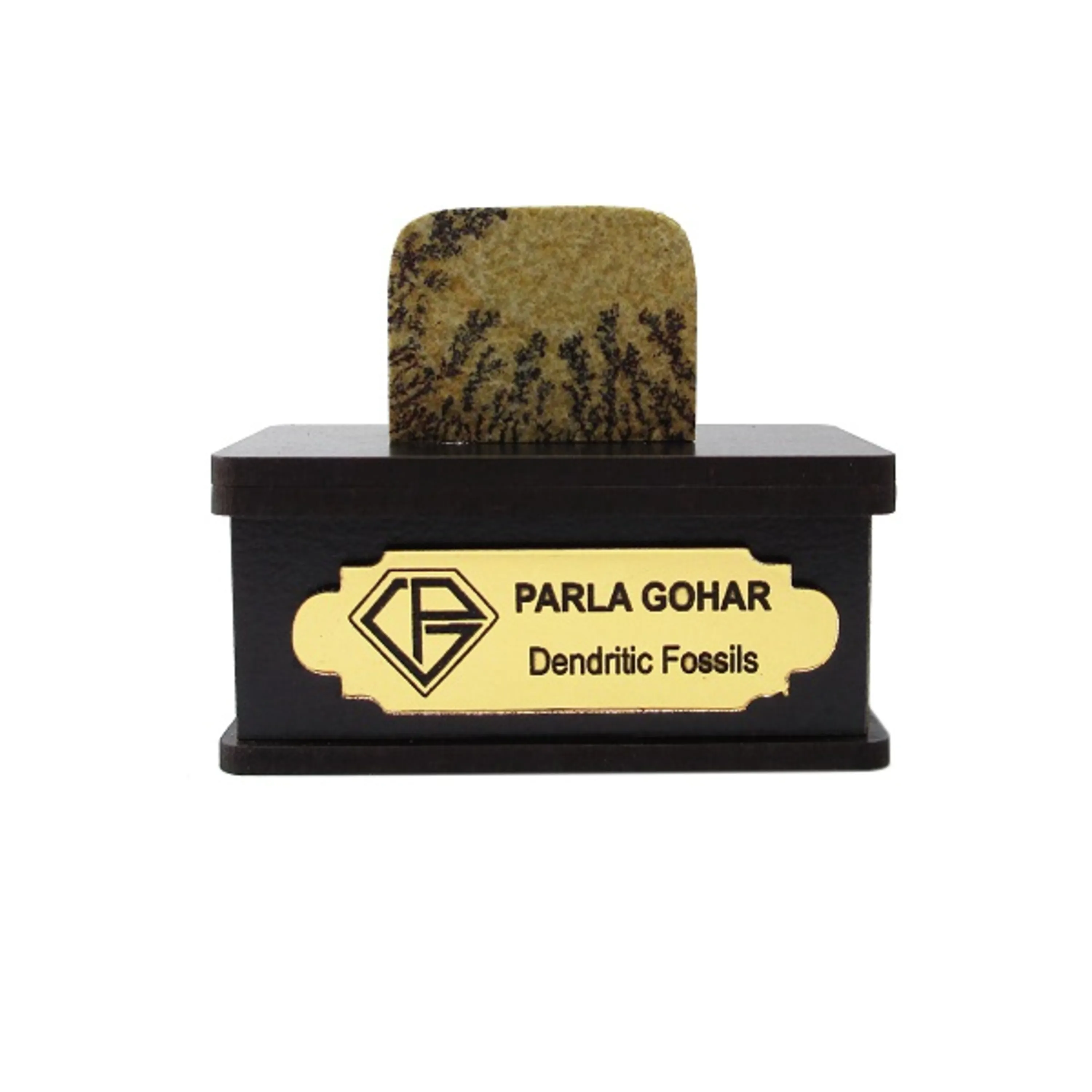 سنگ شجر فسیلی (دندریتی ) کد 2202